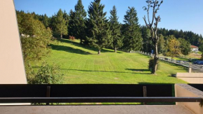 Apartment mit 2 Zimmer im Bayerischen Wald
